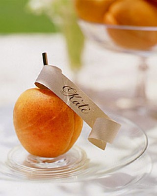 apricotcard_win99_l.jpg