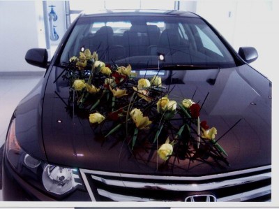  Image-29.jpg