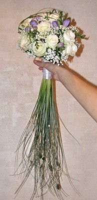 IMG_3120.jpg