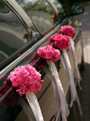 weddingcar elaine fisher UK.jpg