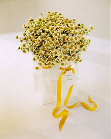 yellow_wht_bouquet_spr96_l.jpg