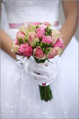 IMG_2720.jpg