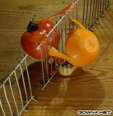 1272617239_ozhivshaja_eda_629427.jpeg