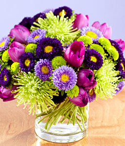tulip_asters_1990_malenky_princ.jpg