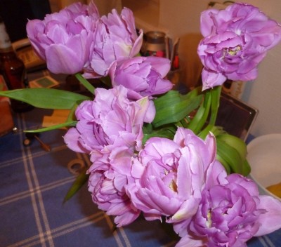P1020429.JPG