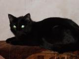 DSCN0087.JPG