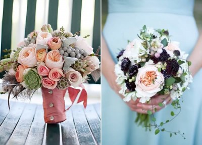 cabbage-rose.jpg