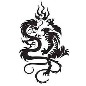 21709585_Tatoo_TribalShaolin_Tattoo_Dragon__Tiger.jpg