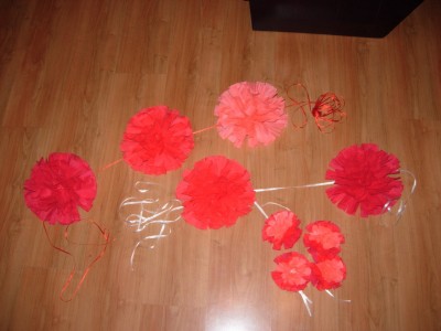 DSCN8325.JPG