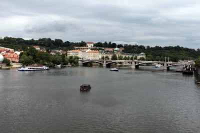 IMG_7484.jpg
