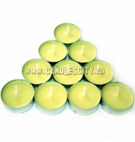 small_shop_items_catalog_image371.jpg