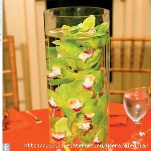 70145812_1296722471_300x300_thecentrepieces18288.jpg