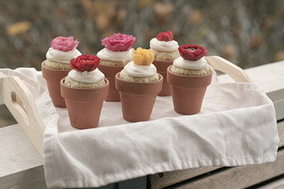d potcakes04.jpg