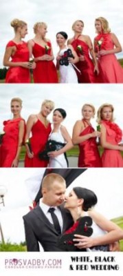 стервоза1.jpg