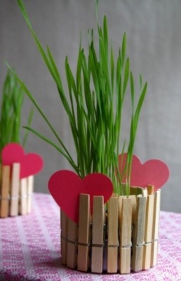 1_clothespin_planter_01.jpg
