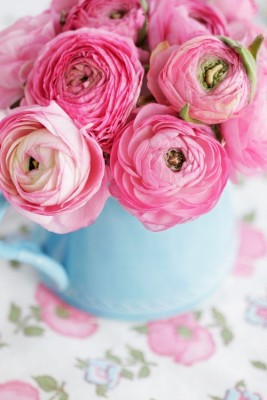 Ranunculus14.jpg