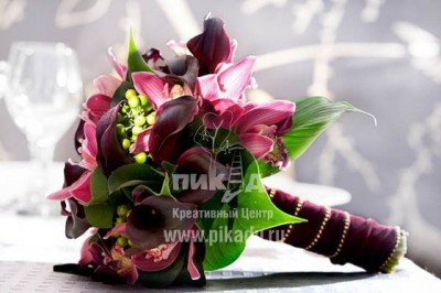 20110318104950338f.jpg