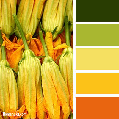 in_color_balance_511.jpg