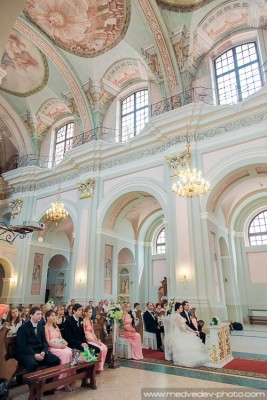 IMG_8154.jpg