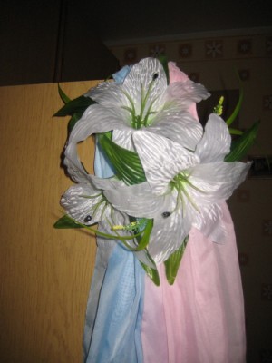 IMG_5445.jpg