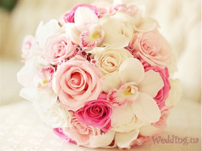 pink-roses.jpg