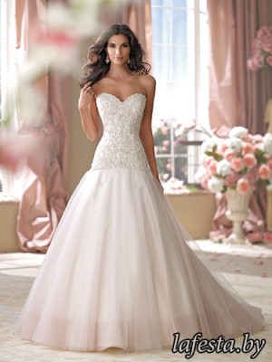114270_Cora1.jpg
