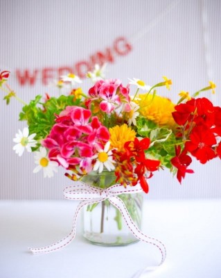 geranium1.jpg